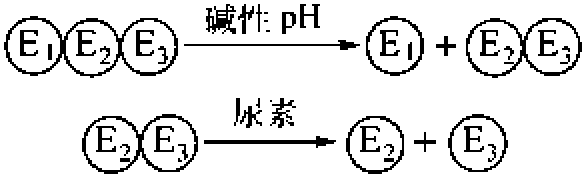 一、单体酶、寡聚酶和多酶体系